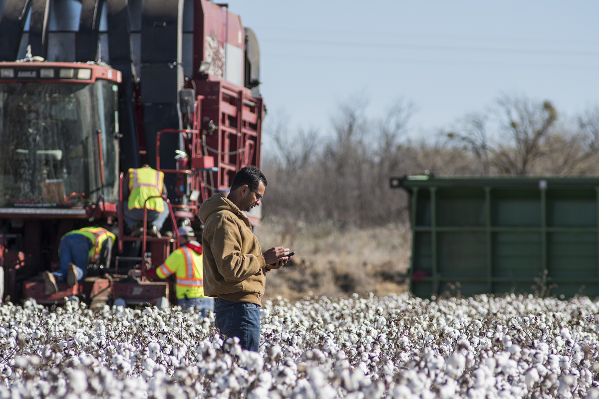 From a test field like this one, Nilesh says only 0.01% of the test plots will survive to see use as a product.